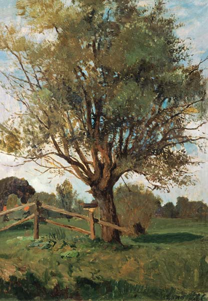 The old tree. a Carl Vinnen