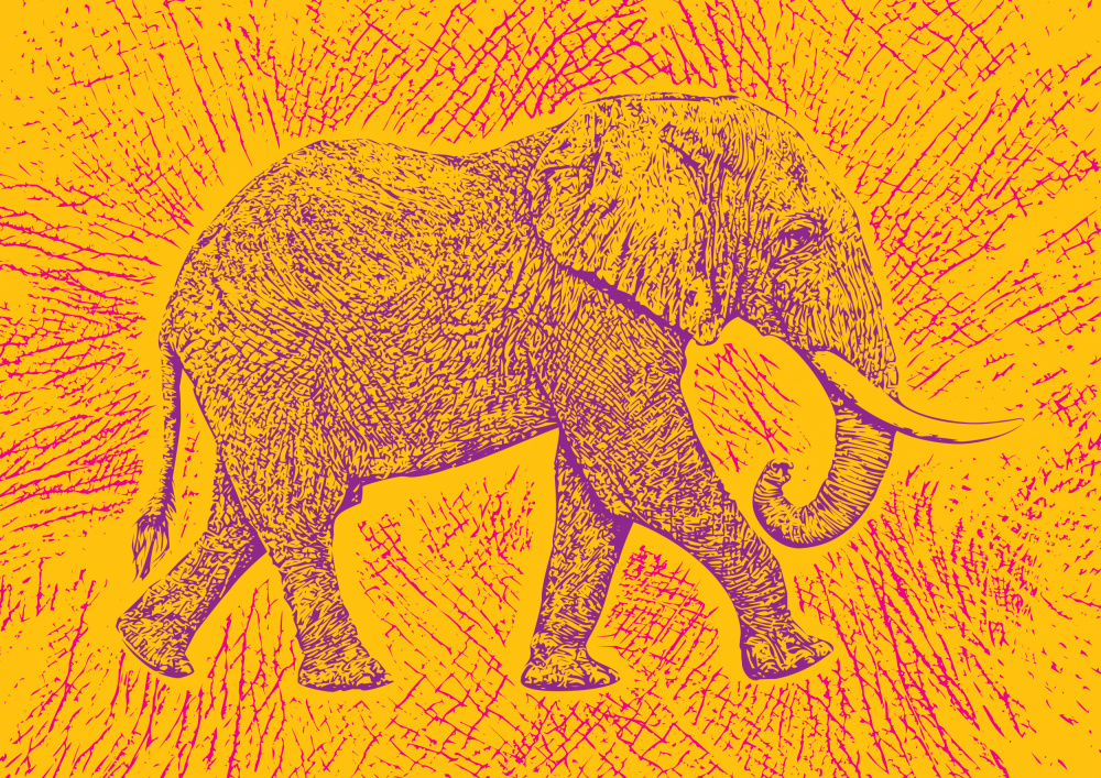 Africa Elephant texture pattern a Carlo Kaminski