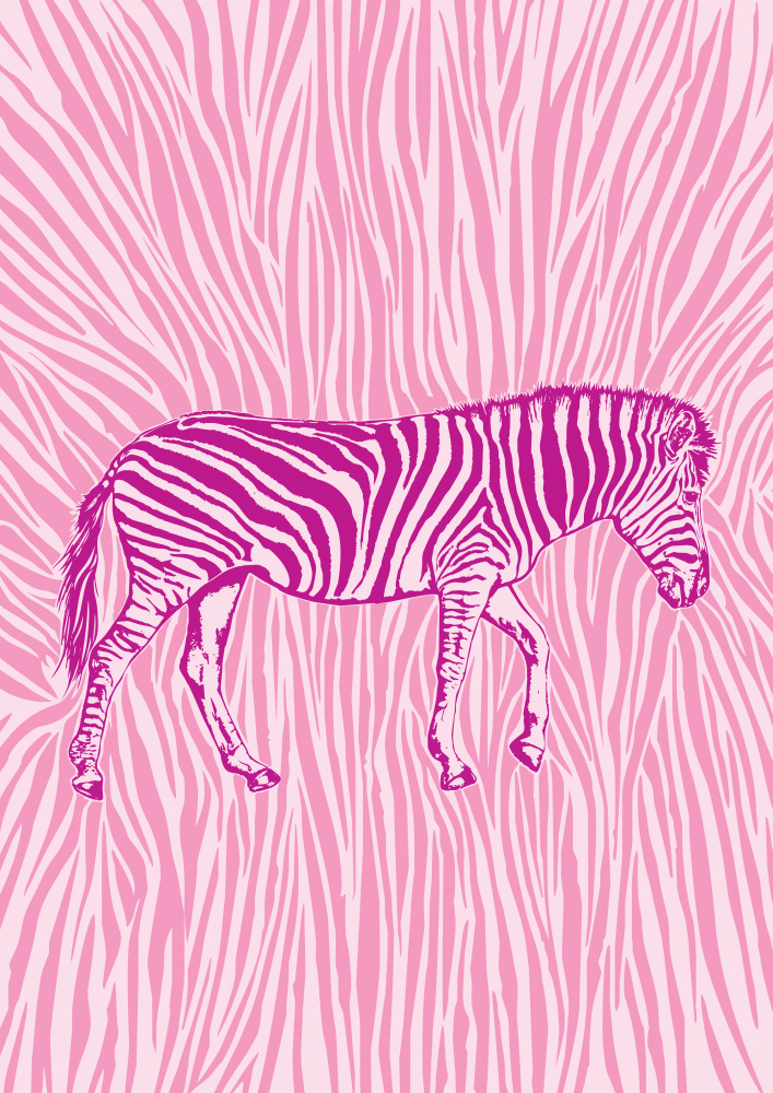 African Zebra striking camouflage a Carlo Kaminski