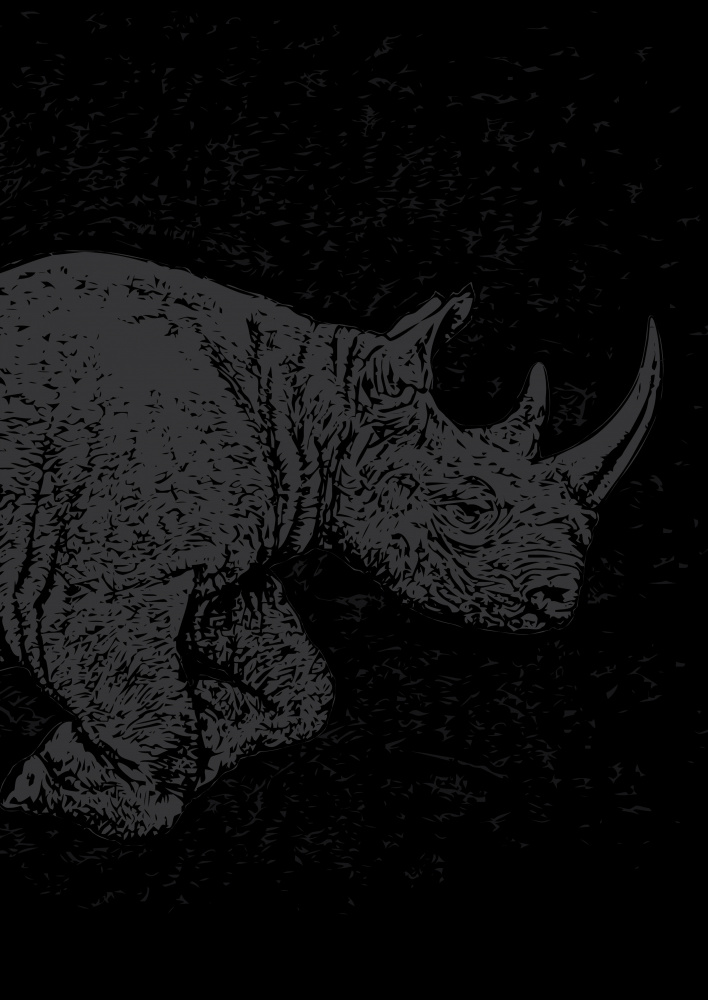 Black Rhino Charging a Carlo Kaminski