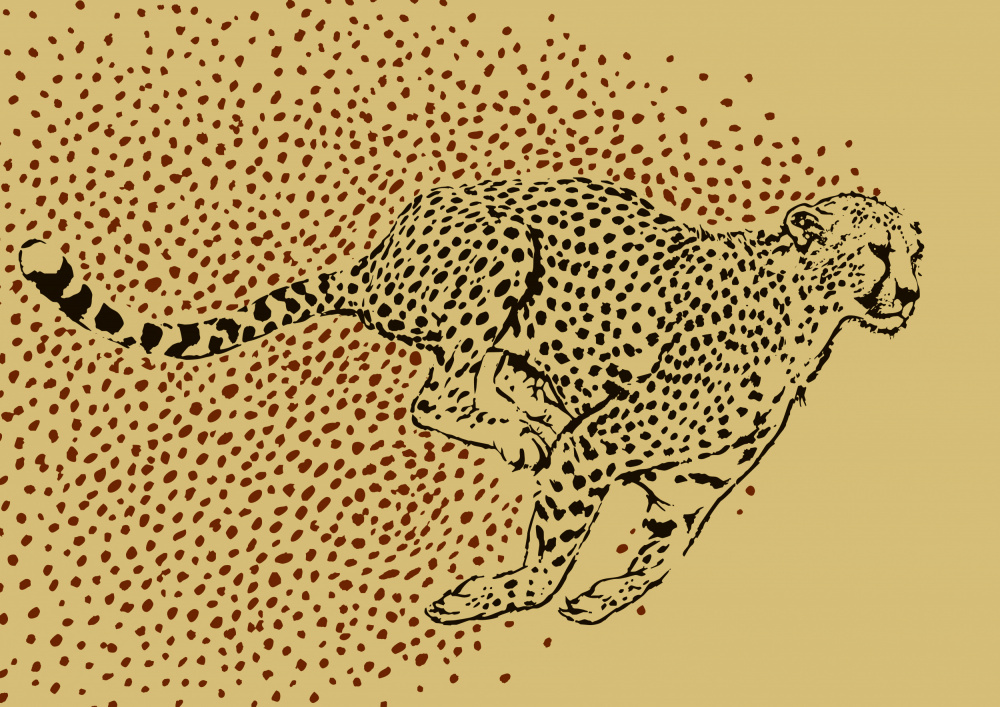 Cheetah Full Sprint a Carlo Kaminski