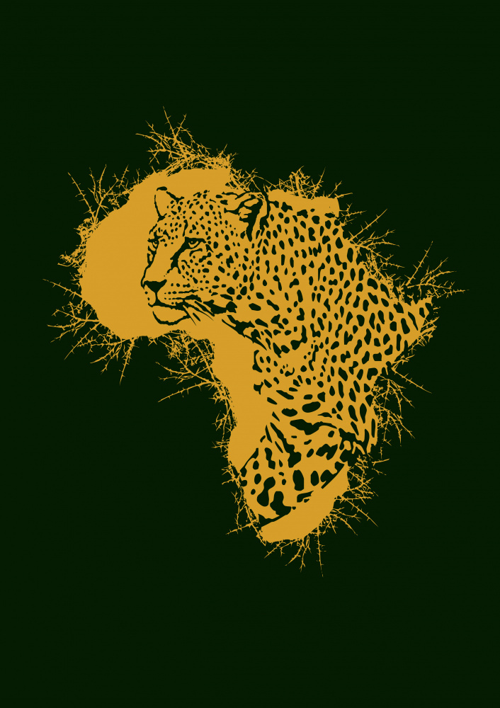 Leopard Thorny Africa a Carlo Kaminski