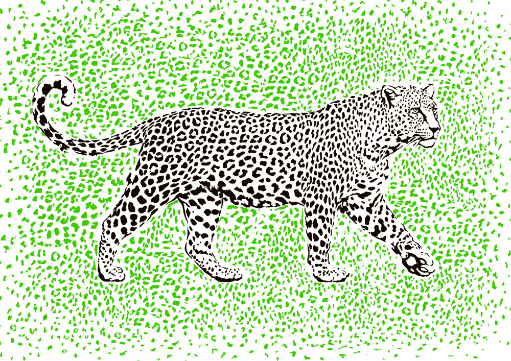 Leopard Rosette camouflage a Carlo Kaminski