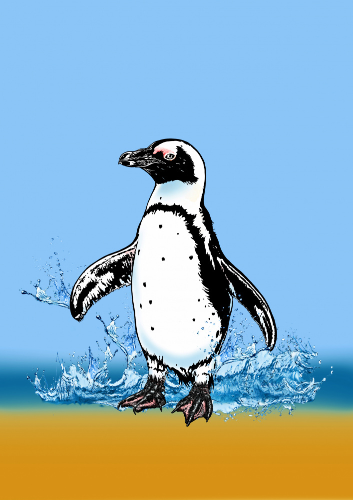 Cute Penguin splashing a Carlo Kaminski