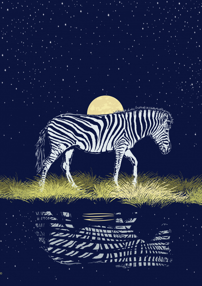Zebra at Waterhole Moonrise a Carlo Kaminski