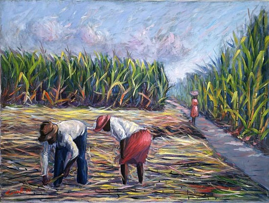 Sugarcane Harvest a  Carlton  Murrell