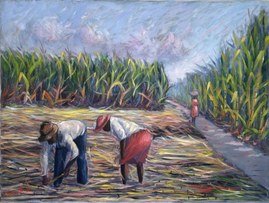 Sugarcane Harvest a  Carlton  Murrell