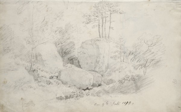 Boulders in Woodland a Caspar David Friedrich