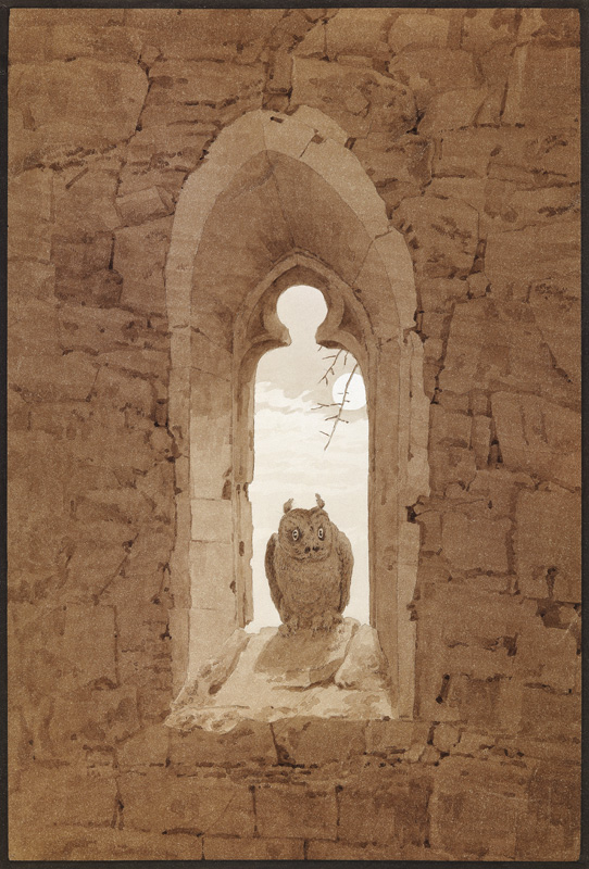 Owl in a Gothic Window a Caspar David Friedrich