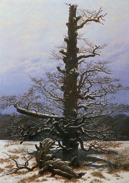 Oak Tree in the Snow a Caspar David Friedrich