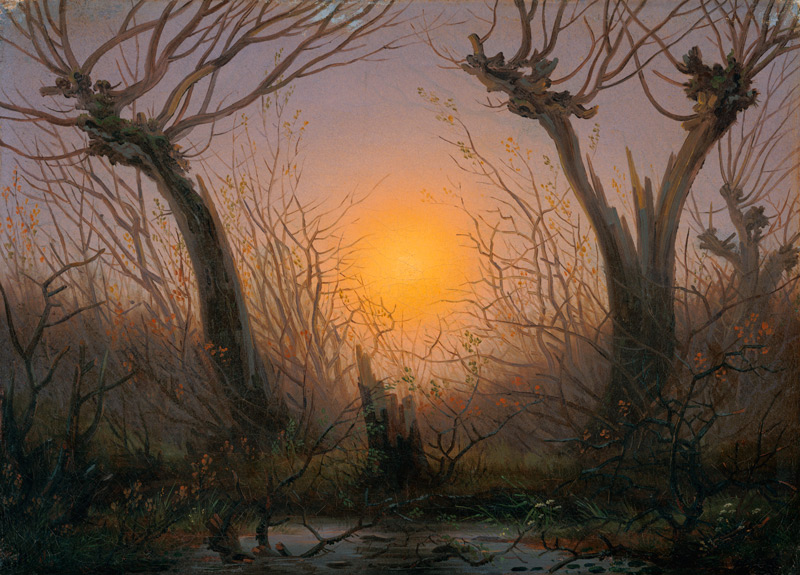 Waldlandschaft bei tiefstehender Sonne. a Caspar David Friedrich