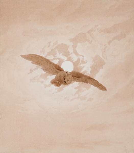 Owl Flying against a Moonlit Sky a Caspar David Friedrich