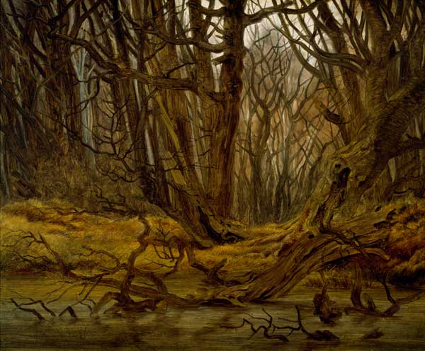 Wald im Spaetherbst a Caspar David Friedrich