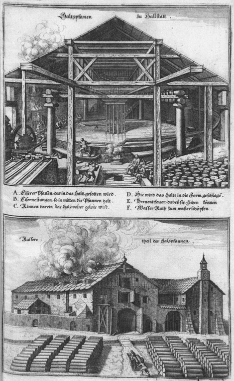 Die Saltzpan zu Hallstätt. (From: Topographia Provinciarum) a Caspar Merian