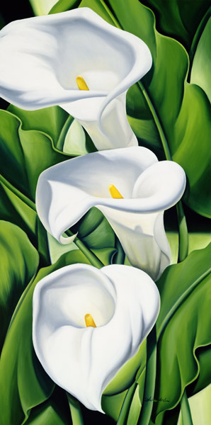 Lilies a Catherine  Abel