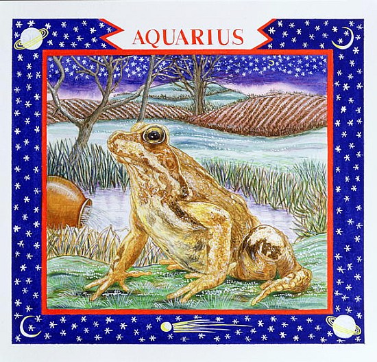 Aquarius (w/c on paper)  a Catherine  Bradbury