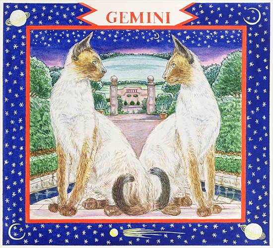 Gemini (w/c on paper)  a Catherine  Bradbury
