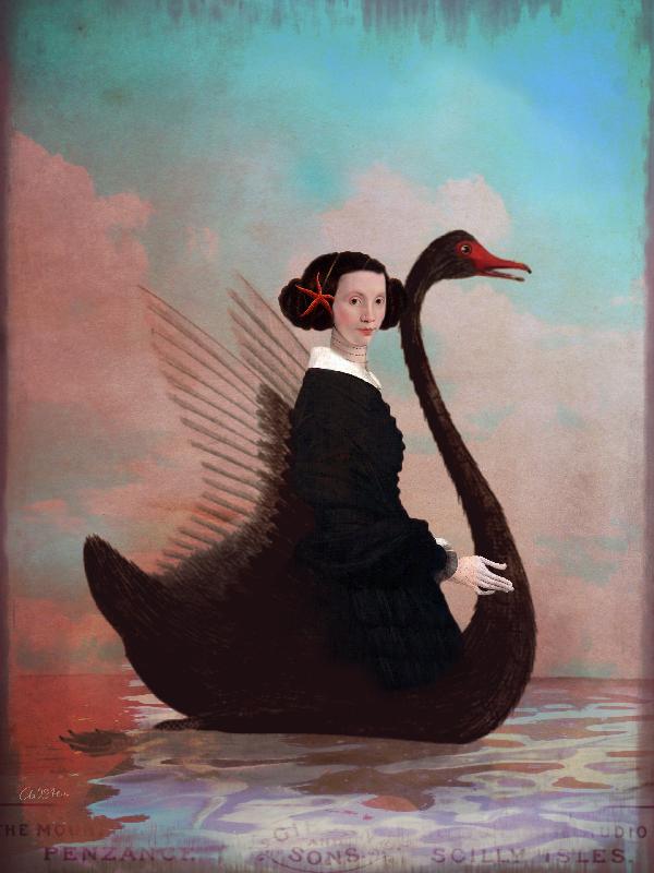 Black Swan a Catrin Welz-Stein
