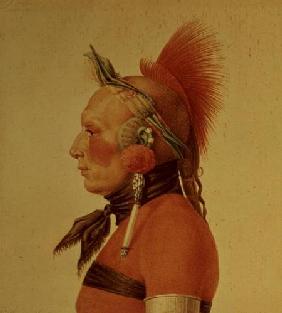 An Osage Warrior