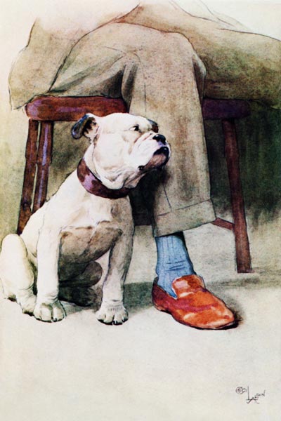 Bulldog (pen & ink & wash on paper) a Cecil Charles Windsor Aldin