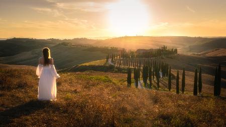 Tuscany Memory