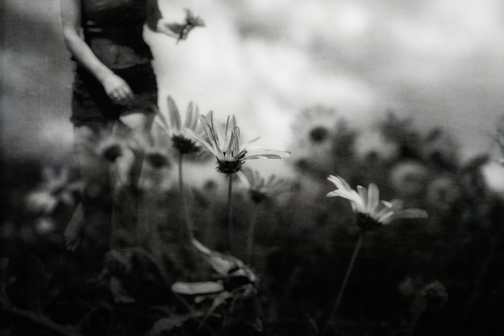 ...then I was young and unafraid... a Charlaine Gerber