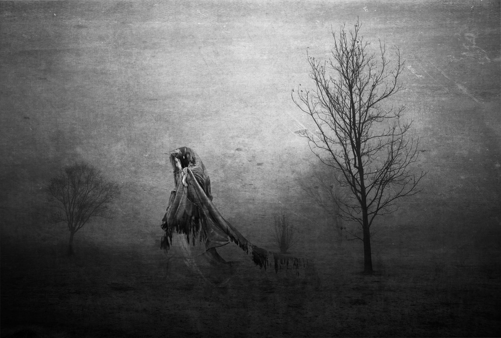 The wounds of neglect and of time a Charlaine Gerber