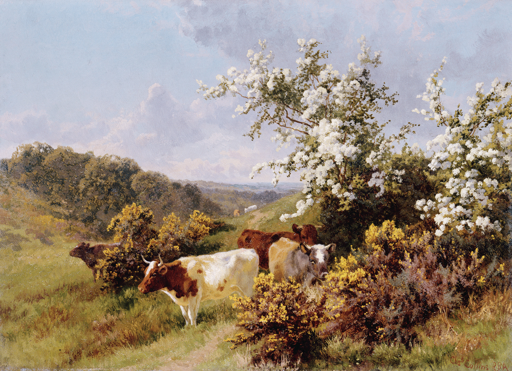 May Blossom a Charles Collins