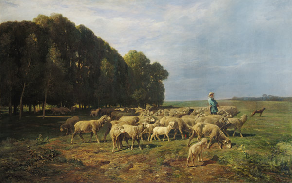 Flock of Sheep in a Landscape a Charles Emile Jacques