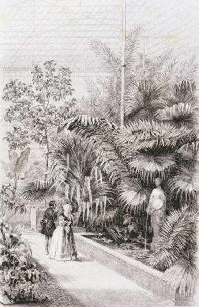 Paris, Jardin des Plantes, Greenhouse a Charles-François Daubigny