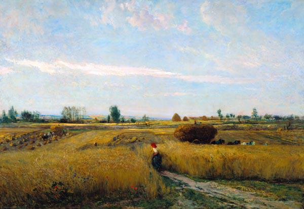 The Harvest