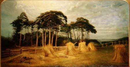 Sheaves of Wheat after the Harvest a Charles Henry Passey