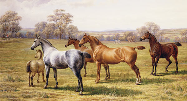 Horses and Foal in a Field a Charles Jones