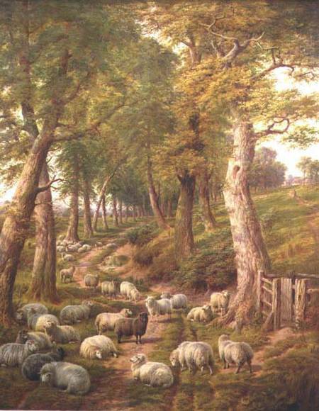 Landscape with Sheep a Charles Jones