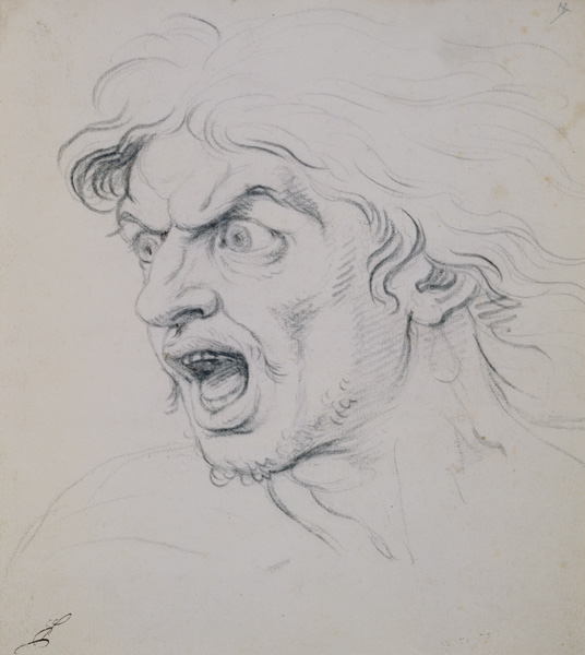 The head of a man screaming in terror, a study for the figure of Darius in 'The Battle of Arbela' a Charles Le Brun