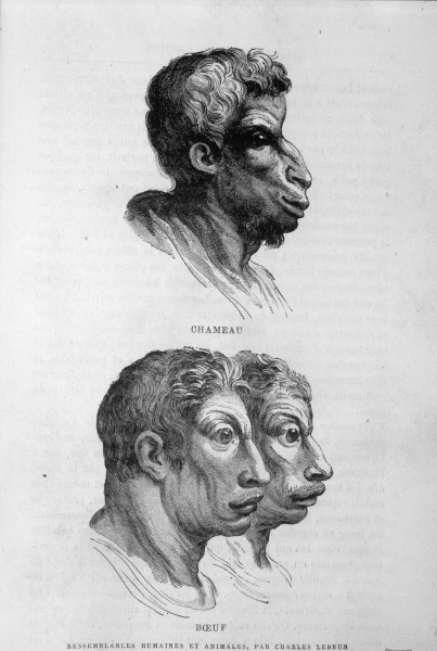 Ähnlichkeiten zw. Mensch u.Tier/Le Brun a Charles Le Brun