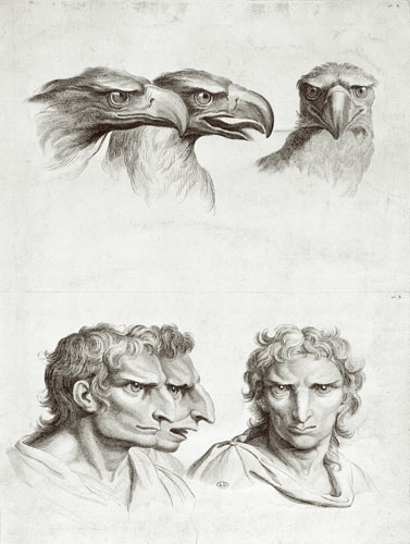 Similarities Between the Head of an Eagle and a Man, from 'Livre de portraiture pour ceux qui commen a Charles Le Brun