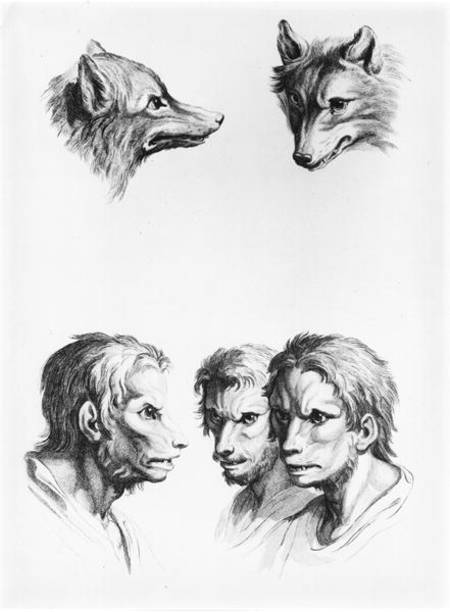 Similarities Between the Head of a Wolf and a Man, from 'Livre de portraiture pour ceux qui commence a Charles Le Brun