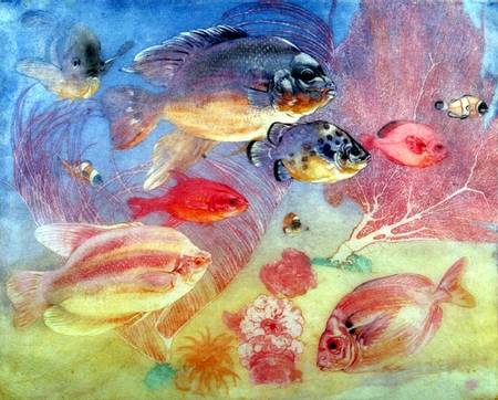 Tropical Fish a Charles Maurice Detmold