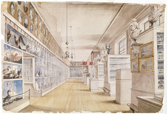 The Long Room, Interior of Front Room in Peale's Museum a Charles Willson Peale