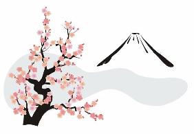 Fiori di ciliegio davanti al monte Fuji