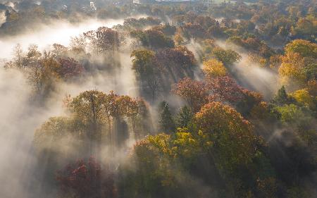 Colour of Autumn