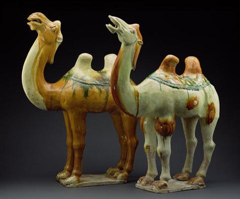 Two camels, Tang Dynasty (618-907) (glazed earthenware) a Scuola Cinese