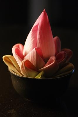 Lotusblüte zur Dekoration a Christian Beckers