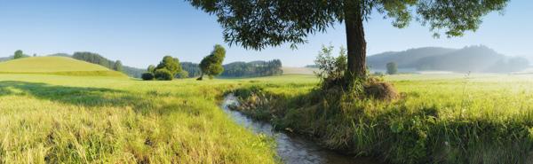 Wald4tel-Panorama