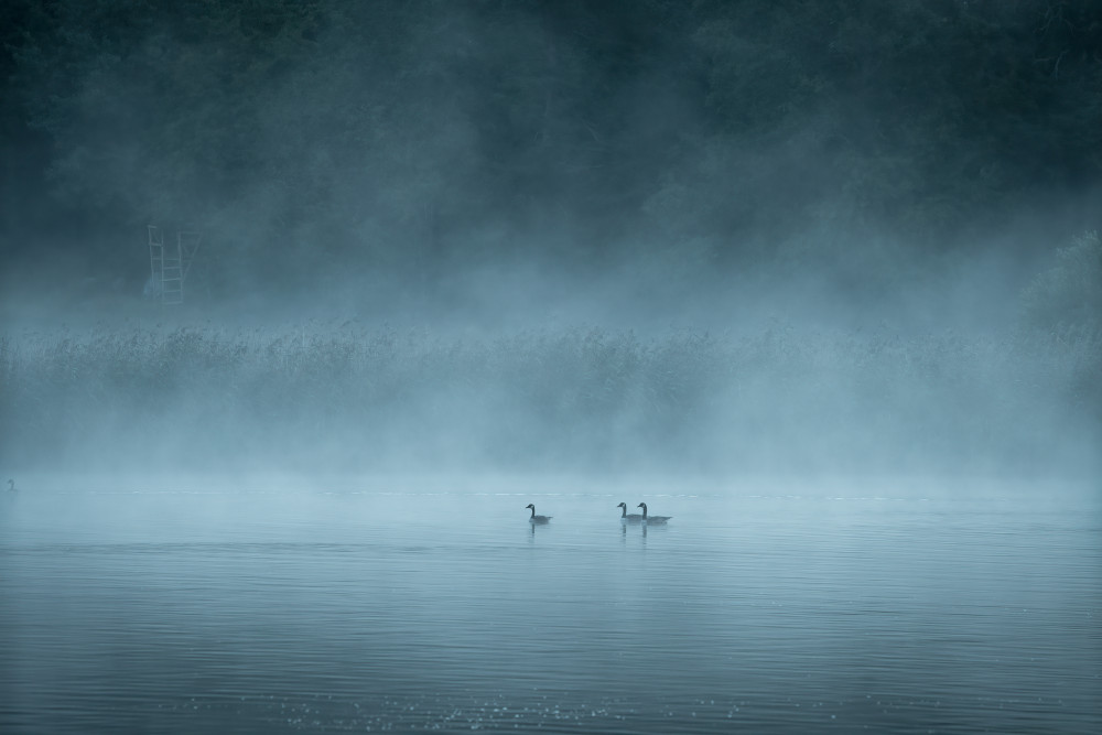 Dark and foggy lake a Christian Lindsten