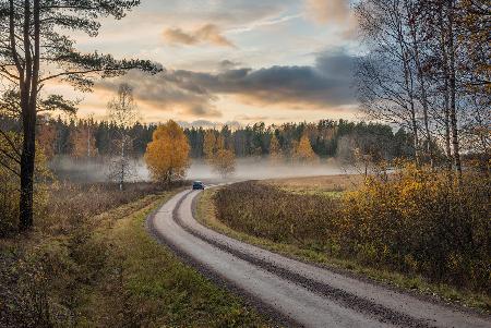 Drive in autumn colors