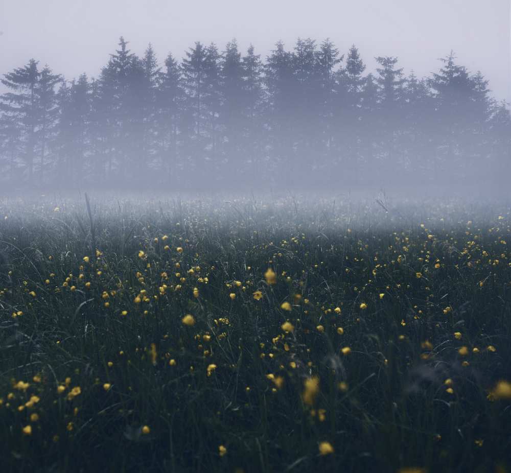 Those foggy mornings a Christian Lindsten