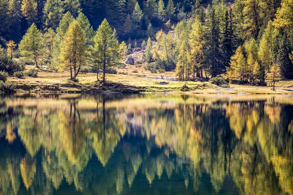 Autumn forest at the Duisitzkarsee in the Schladming Mountains a Christian Müringer