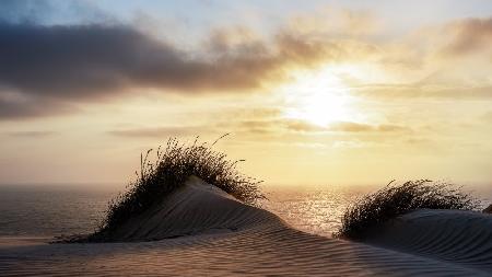 Dune - Denmark